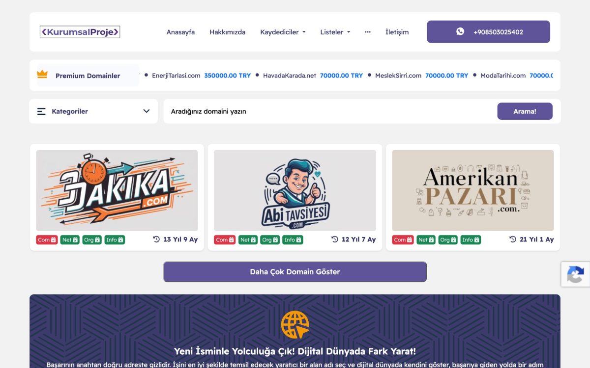 Kurumsal Proje ana sayfasında premium alan adı listeleri ve arama alanı